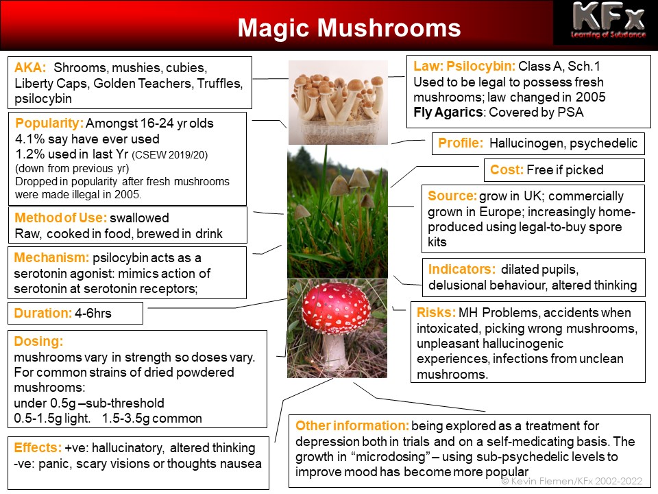 Mushrooms Drug Facts. Drug Facts :: Magic Mushrooms
